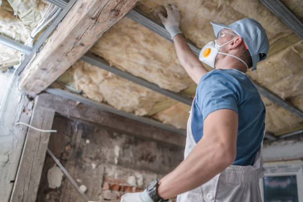 Best Insulation Materials and Products in Lawton, MI
