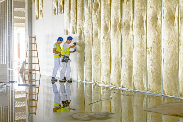 Best Insulation Maintenance and Repair in Lawton, MI